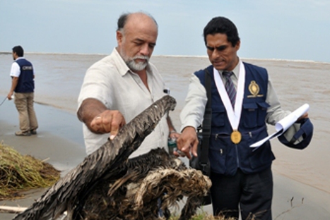 Cierran dos playas en Villa El Salvador