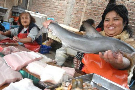 Minam señaló que se puede comer pescados y mariscos