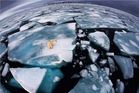 FOTOS: Estas son las mejores imágenes de la naturaleza del año