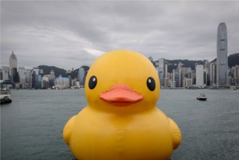 Puerto de Hong Kong es 'invadido' por pato de goma gigante – FOTOS