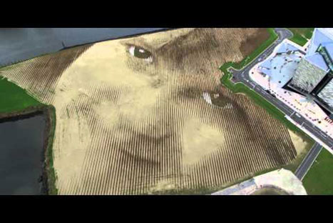 Impresionante: El inmenso retrato de una niña que se aprecia desde el cielo  - VIDEO