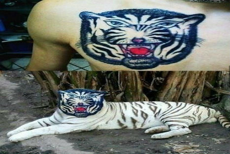 FOTOS: Vea los peores tatuajes de la historia FOTOS: Vea los peores tatuajes de la historia