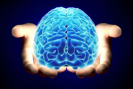 Sepa cuáles son los 5 hábitos que perjudican a su cerebro