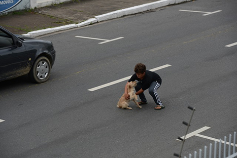 Conmovedor: niño arriesga su vida para salvar a una cachorrita - FOTOS Conmovedor: niño arriesga su vida para salvar a una cachorrita - FOTOS