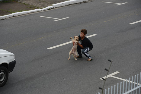 Conmovedor: niño arriesga su vida para salvar a una cachorrita - FOTOS Conmovedor: niño arriesga su vida para salvar a una cachorrita - FOTOS