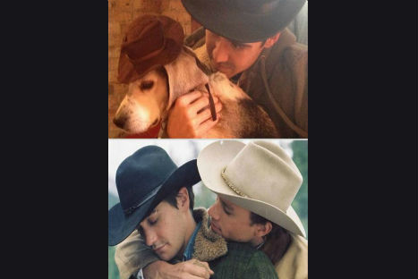 FOTOS: Hombre se toma fotos de escenas de película con su perro FOTOS: Hombre se toma fotos de escenas de película con su perro