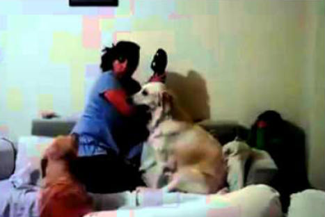 Perros defienden a pequeña de 'golpes' de su madre-VIDEO