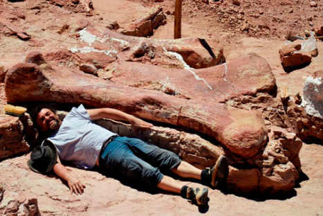 Fotos: Hallan fémur del dinosaurio más grande del planeta