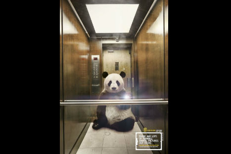 Hermosas selfies de animales en peligro de extinción