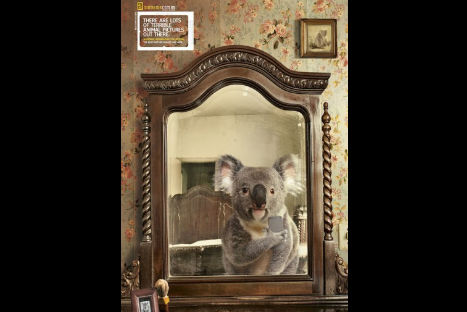 Hermosas selfies de animales en peligro de extinción