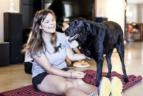 El adiós de Duke,  un perro enfermo de cáncer (FOTOS)