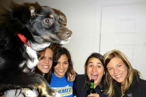 10 fotos que fueron arruinadas por perros
