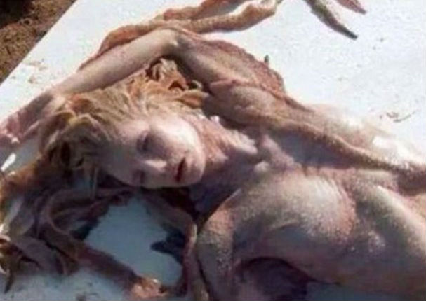 Imágenes de una supuesta 'sirena' muerta en la playa de México causa alarma Imágenes de una supuesta 'sirena' muerta en la playa de México causa alarma