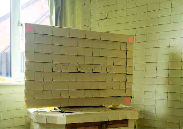 Mira la insólita sorpresa que tuvieron una pareja de recién casados (FOTOS)