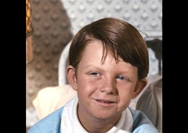 Mira cómo lucen hoy los protagonistas de Mary Poppins (FOTOS)