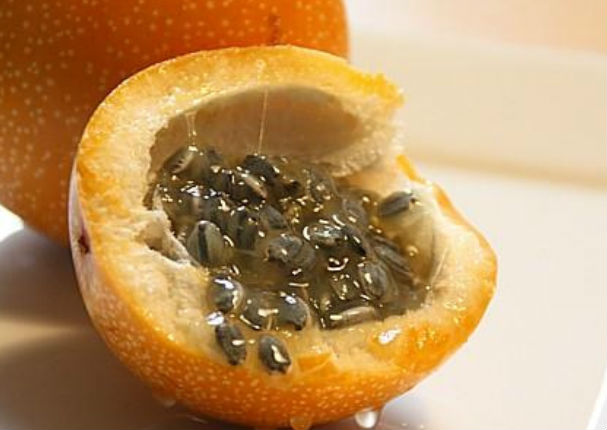 Conoce los beneficios de consumir granadilla