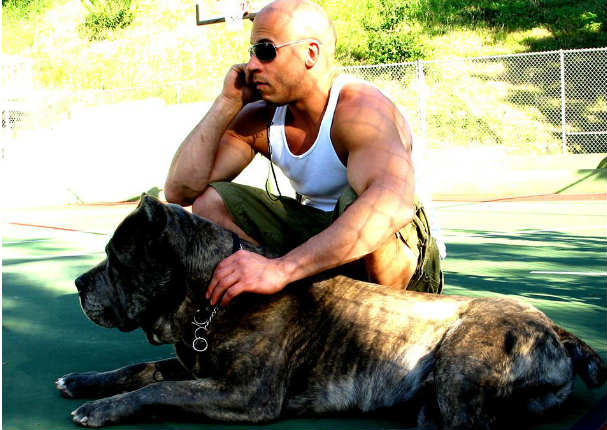 ¿Te imaginas cómo luciría Vin Diesel con cabello y barba? Descúbrelo aquí (FOTO)