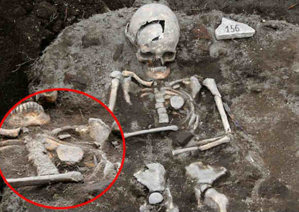 Hallan restos de un posible vampiro. Entérate de más aquí