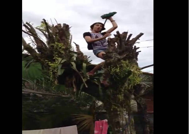 Casi pierde la vida electrocutado por bailar cerca a cables de alta tensión (VIDEO)