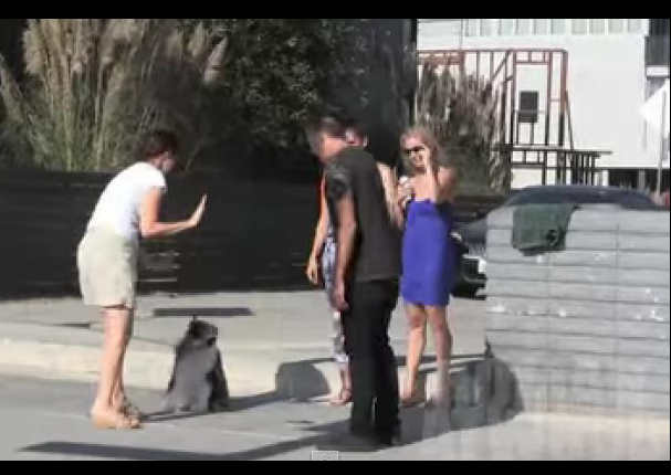 Mira la broma del hombre con el 'súper estornudo'