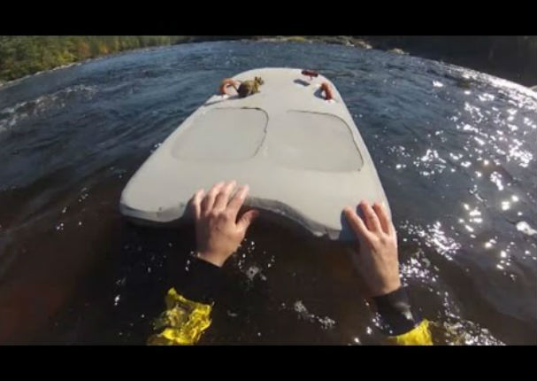 El heroico rescate a una ardilla se vuelve viral (VIDEO)