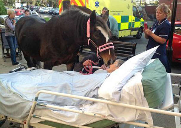 Anciana logró cumplir su última voluntad antes de perder su lucha contra el cáncer