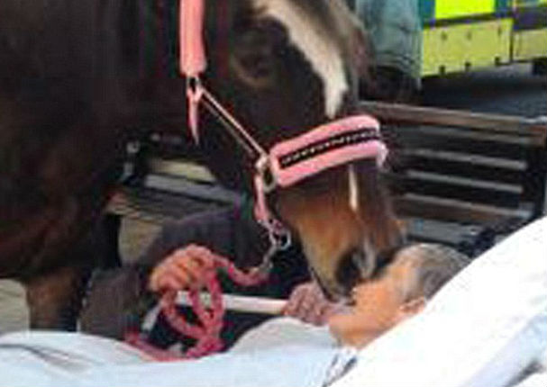 Anciana logró cumplir su última voluntad antes de perder su lucha contra el cáncer