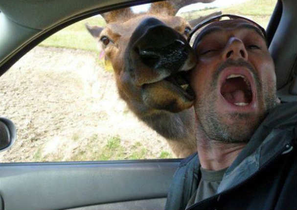 Mira las 10 'selfies' más extrañas de todo el ciberespacio (FOTOS)