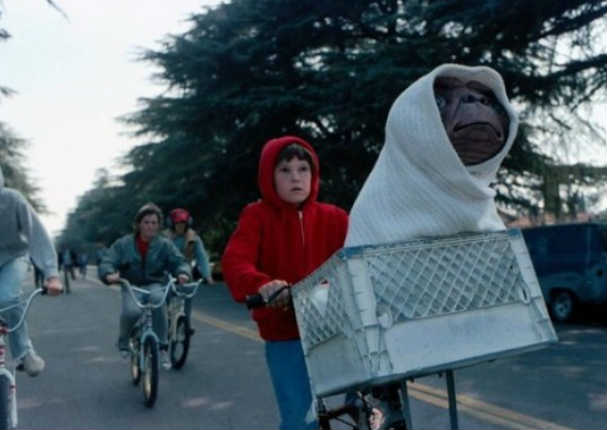 ¿Recuerdas a ET? Mira el impresionante hallazgo que hizo un hombre al cortar un árbol.