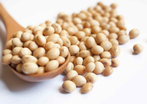 Estos son los 10 alimentos considerados como la fuente de la eterna juventud