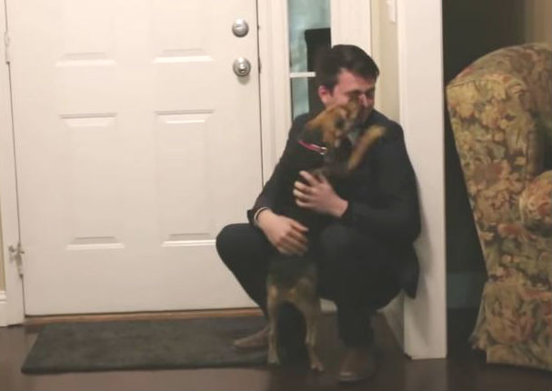 ¡Muy tierno! Mira el emotivo reencuentro de un perro con su dueño  (VIDEO)