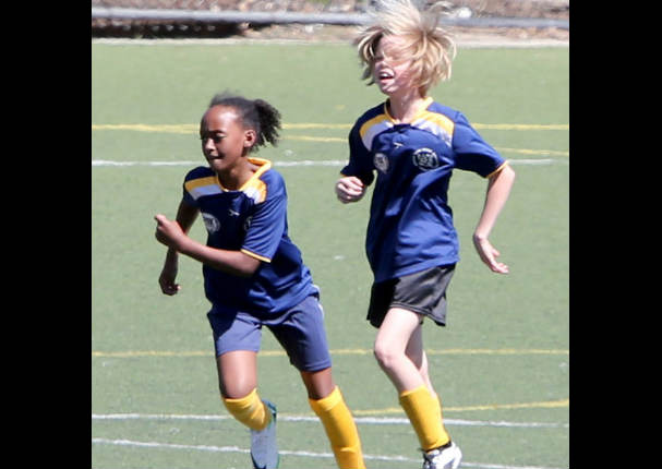 Brad Pitt y Angelina Jolie son captados muy cariñosos