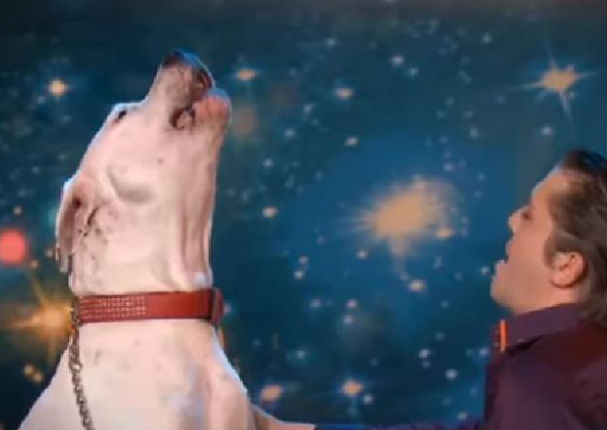 Mira al perro que canta 'I will always love you' (VIDEO)