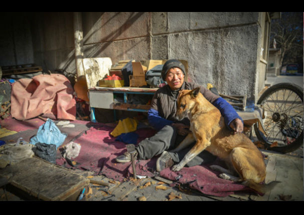 Mira a este perro que ayuda a su dueño y le empuja la silla de ruedas (FOTOS)