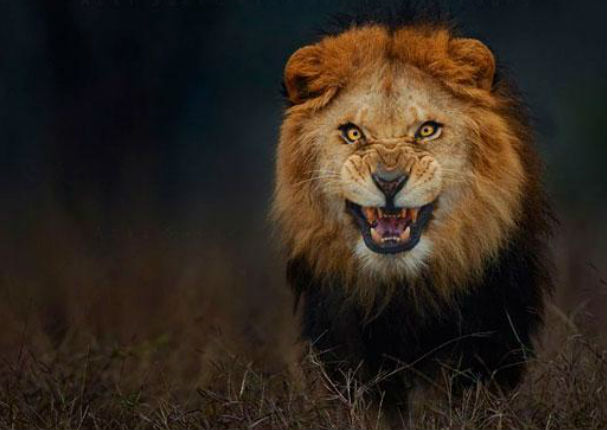 El fotógrafo que captó esta imagen estuvo cerca de la muerte