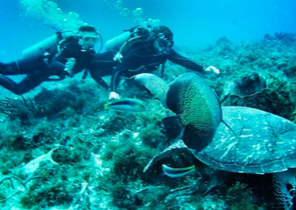 Angelique Boyer y Sebastián Rulli disfrutan su amor al máximo (FOTOS)