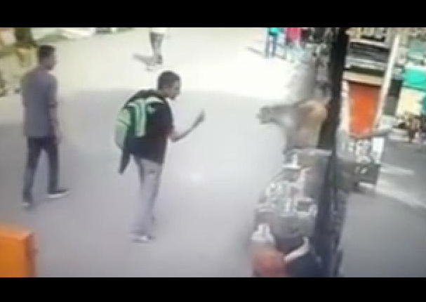 Le hizo gesto grosero a mono y esto es lo que pasó…  (VIDEO)