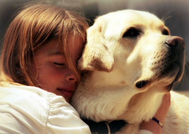 ¡Conmovedor! Niña se pierde en el bosque y logra sobrevivir gracias a su perro (VIDEO)