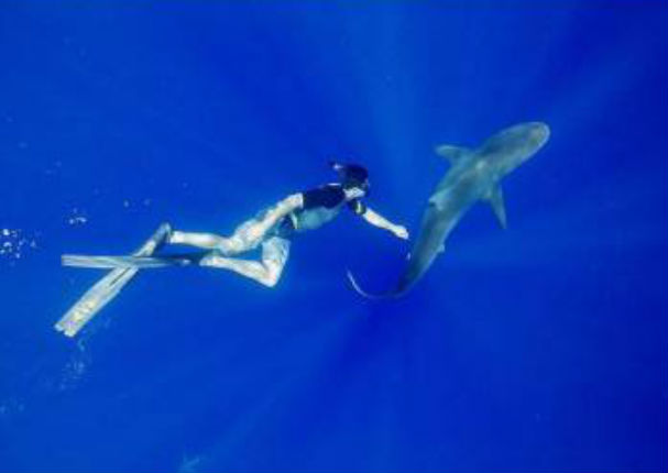¡Alucinante! Mira a Zac Efron nadando entre tiburones (VIDEO)