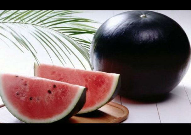 ¿La comprarías? No vas a creer a qué precio fue vendida esta sandía negra