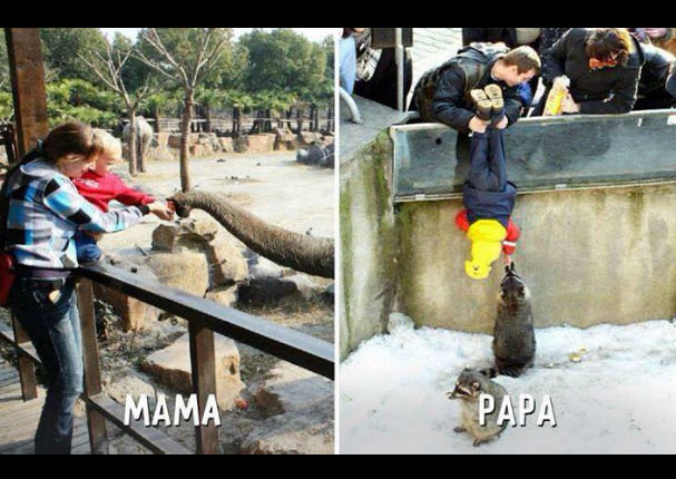 ¿Papá o mamá? Estas comparaciones nos dicen quién podría ser más confiable (FOTOS)