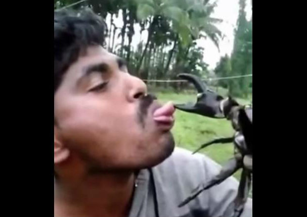 Él se divertía con un cangrejo hasta que… (VIDEO)
