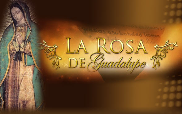 Cuatro razones de por qué La Rosa de Guadalupe es un éxito en nuestro país