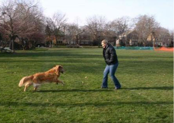 ¡Increíble! Cenizas de su perro formaron una conmovedora figura en el aire (FOTO)