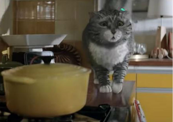 YouTube: La historia de este gato te demostrará el verdadero sentido de la navidad