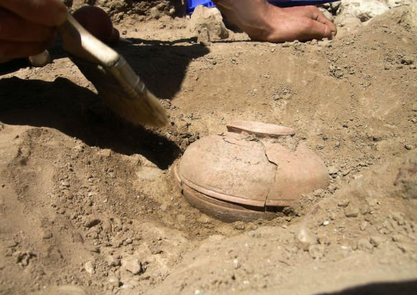 Esto es lo que pasó cuando sembraron semillas de 800 años de antigüedad (FOTOS) Esto es lo que pasó cuando sembraron semillas de 800 años de antigüedad (FOTOS)