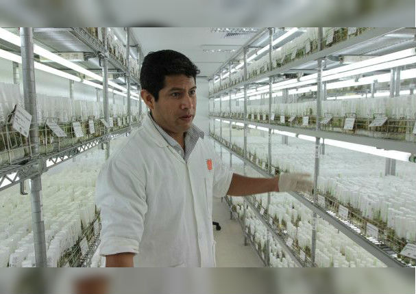 NASA: Papas peruanas serían cultivadas en Marte