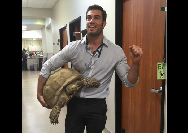 Instagram: Conoce a Evan Antin, 'el veterinario más sexy del mundo' (FOTOS) Instagram: Conoce a Evan Antin, 'el veterinario más sexy del mundo' (FOTOS)