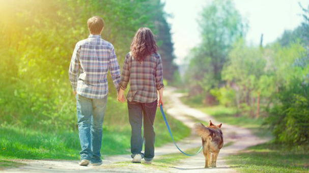 ¿Cómo benefician las mascotas tu relación? ¿Cómo benefician las mascotas tu relación?