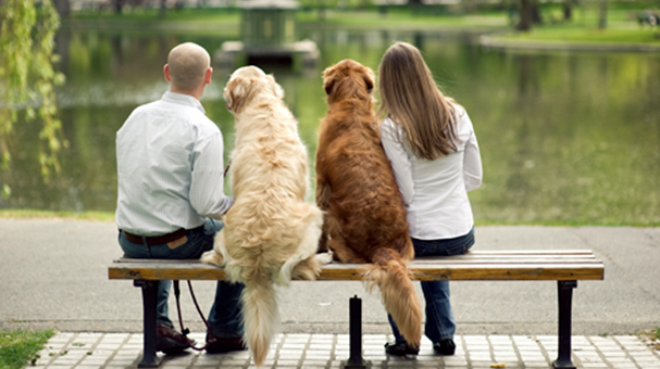 ¿Cómo benefician las mascotas tu relación? ¿Cómo benefician las mascotas tu relación?